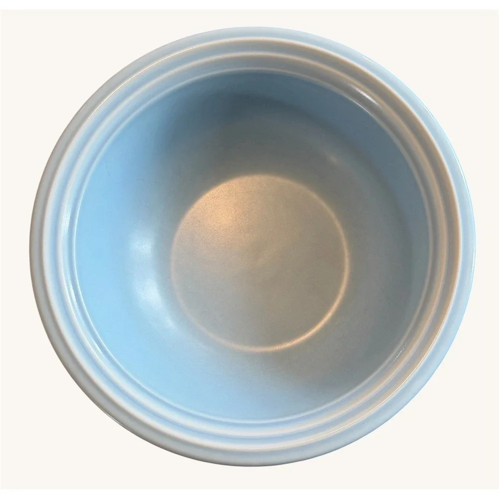 Pfaltzgraff Terrace Azure 9.75
